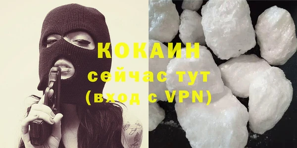 соль ск Сосновый Бор