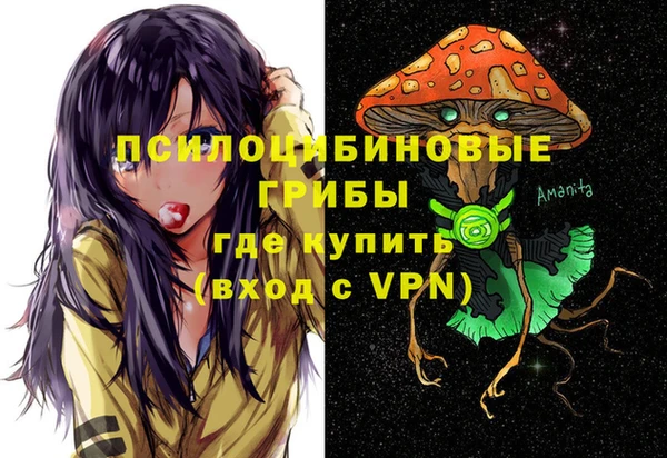 крисы Липки