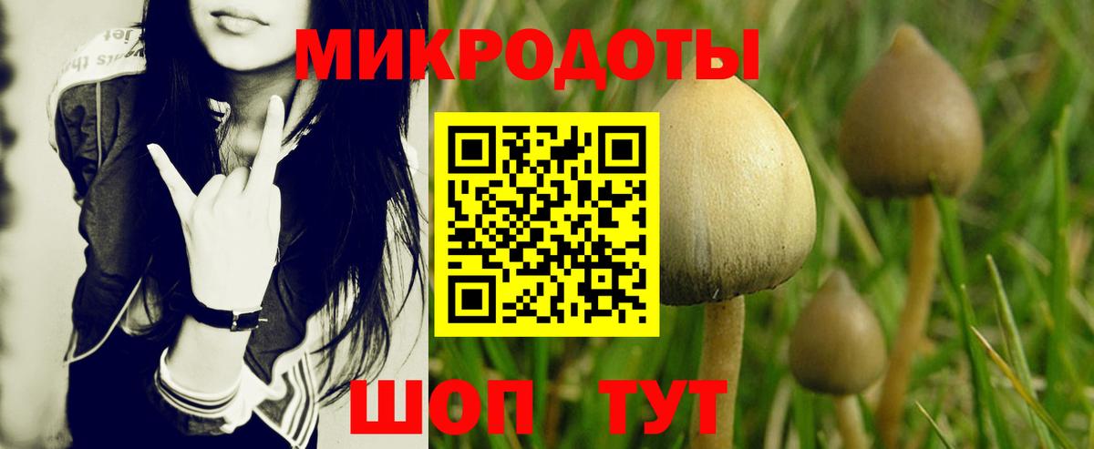 Псилоцибиновые грибы Psilocybe  Вход с VPN  Псилоцибиновые грибы Psilocybe  Тихорецк 